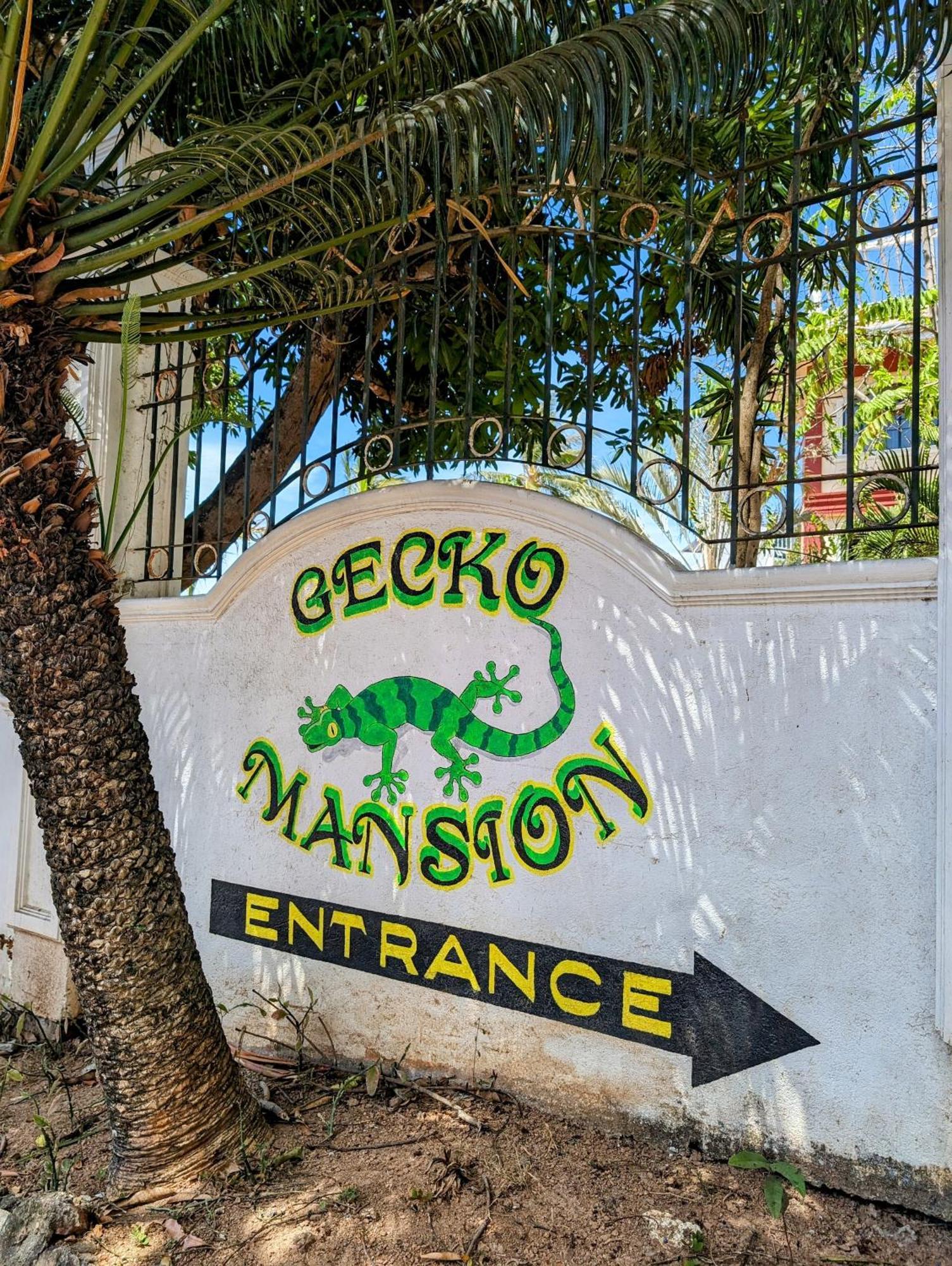 Screaming Gecko Hostel Air-Con Busuanga Exterior foto