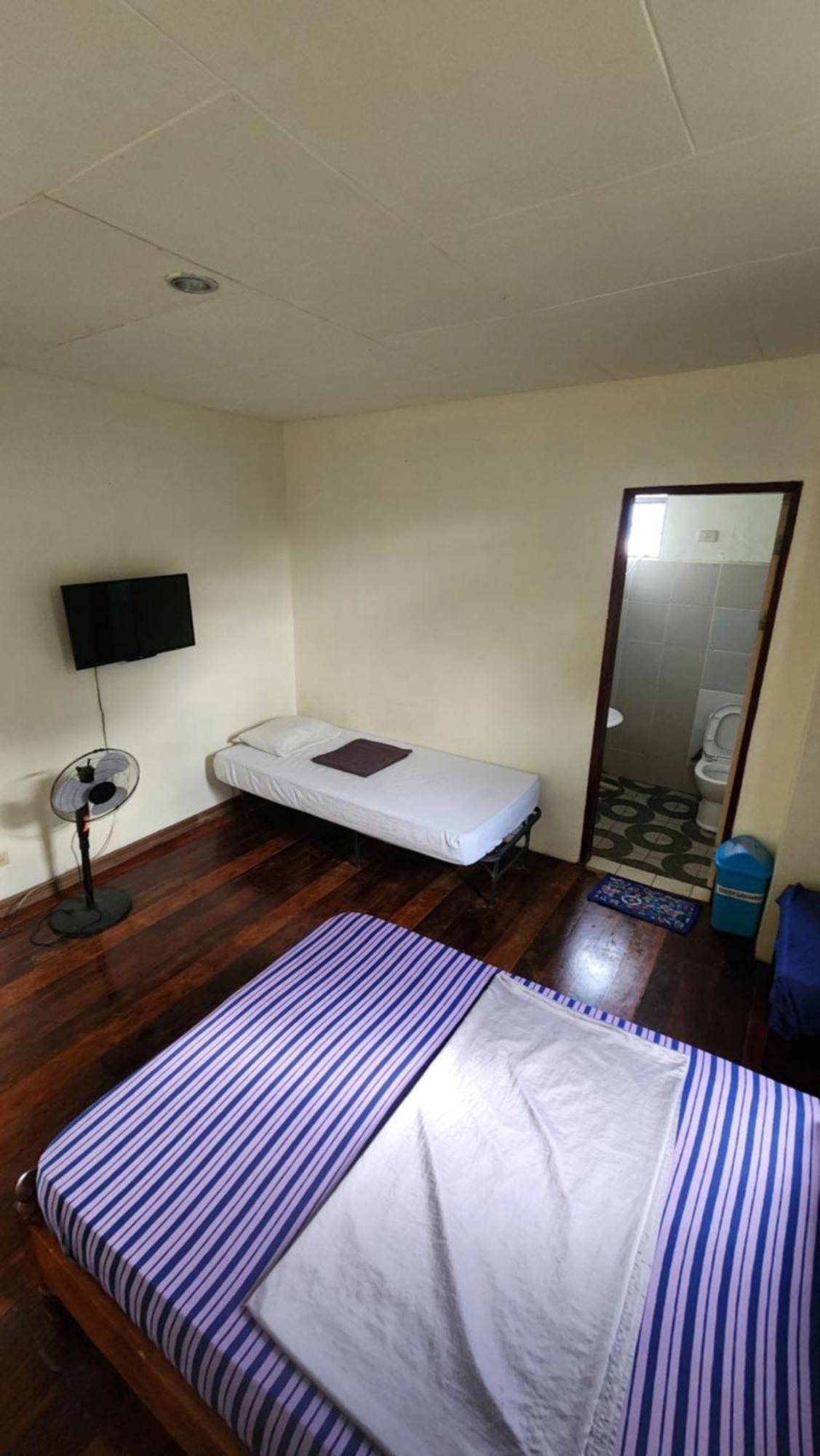 Screaming Gecko Hostel Air-Con Busuanga Exterior foto