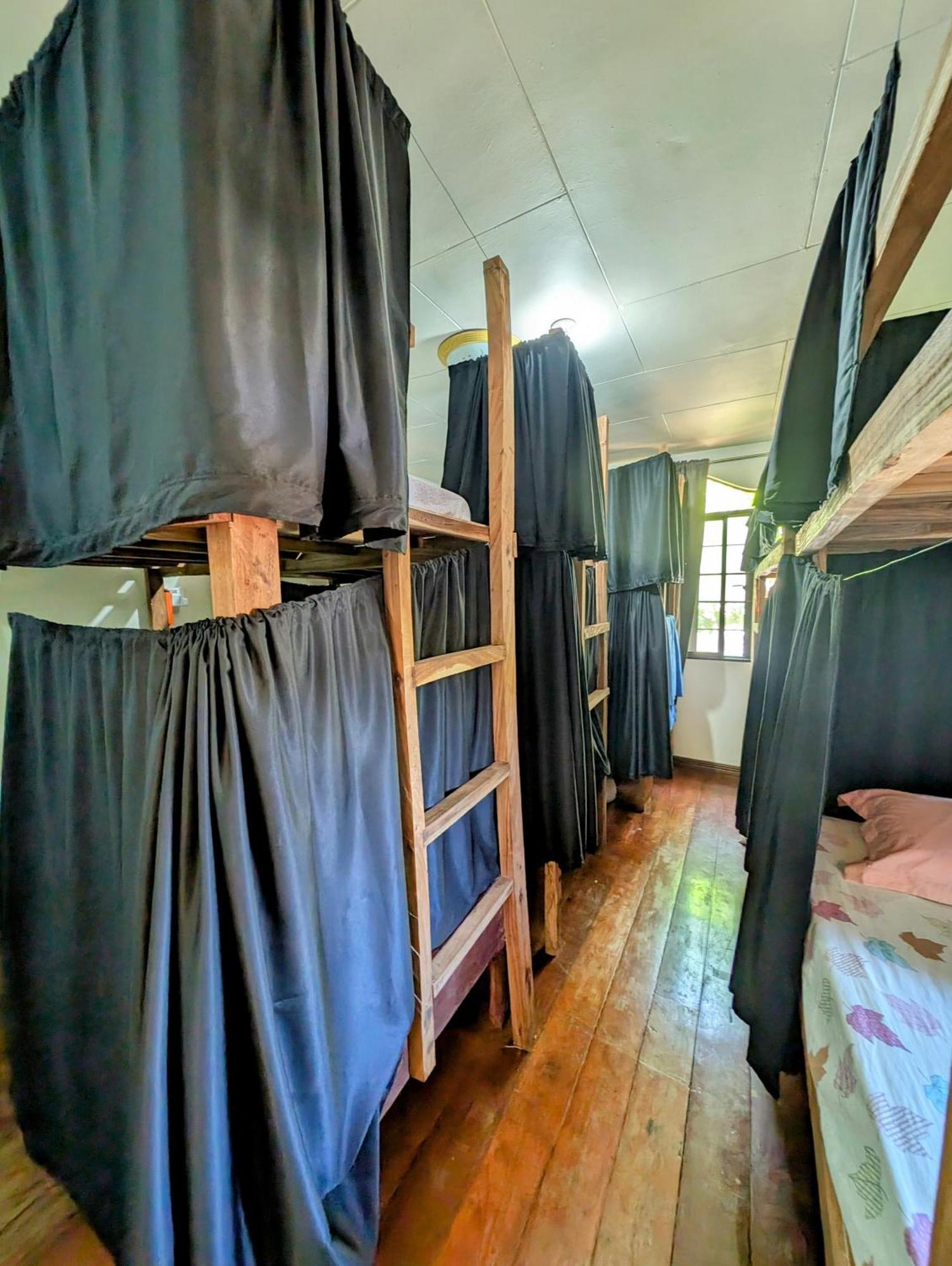 Screaming Gecko Hostel Air-Con Busuanga Exterior foto